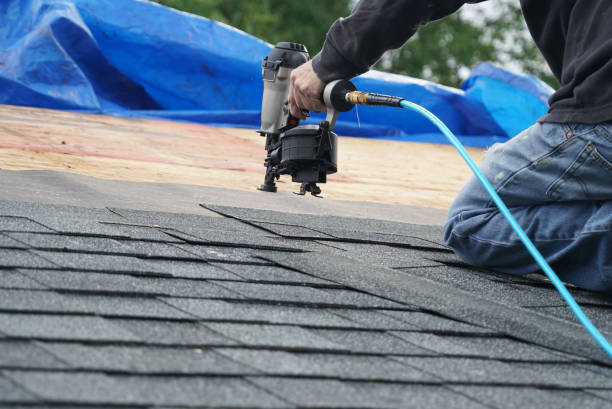 Best Storm Damage Roof Repair  in Brackenridge, PA