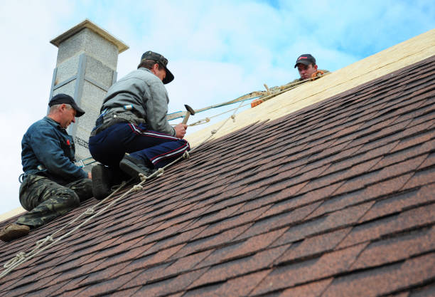 Best Roof Leak Repair  in Brackenridge, PA