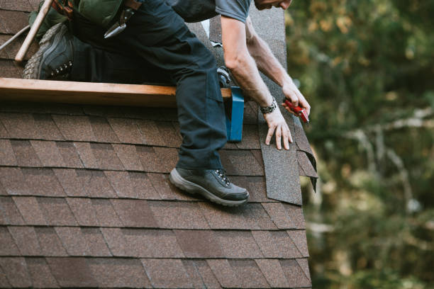 Best Roof Repair Services  in Brackenridge, PA